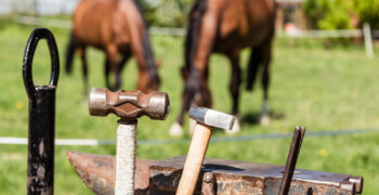 10 Horse Farrier Tools for a Call Out