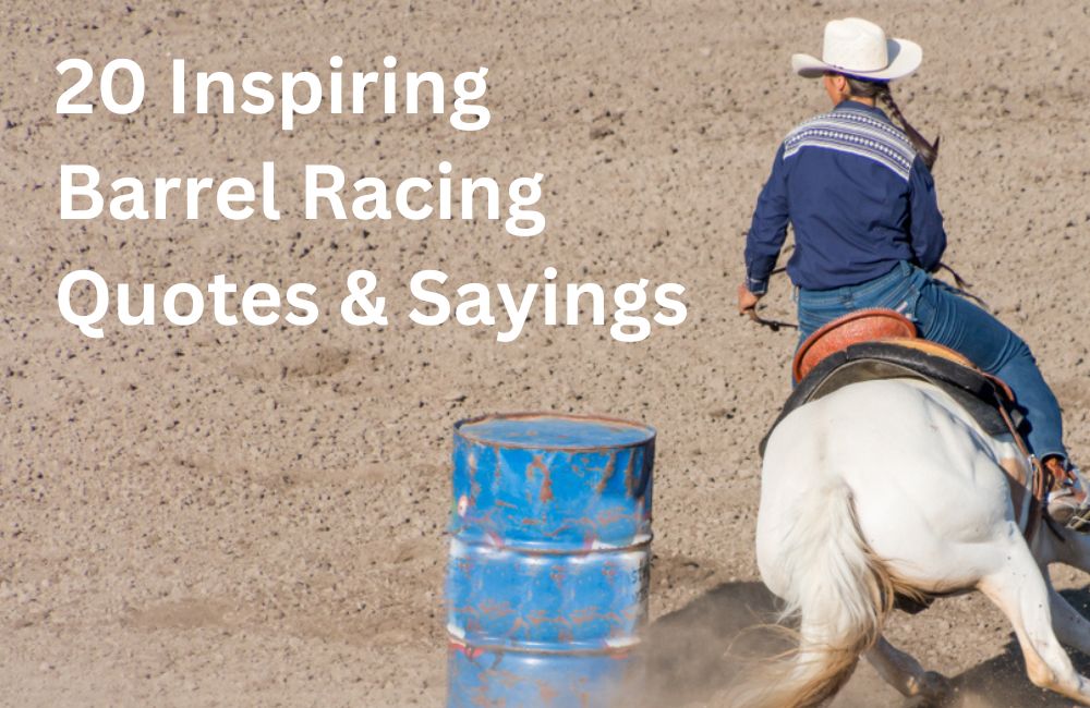 20 Inspiring Barrel Racing Quotes & Sayings