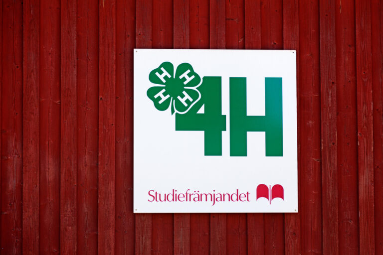 What Does 4 H Stand For 4H Horse Program Horsezz