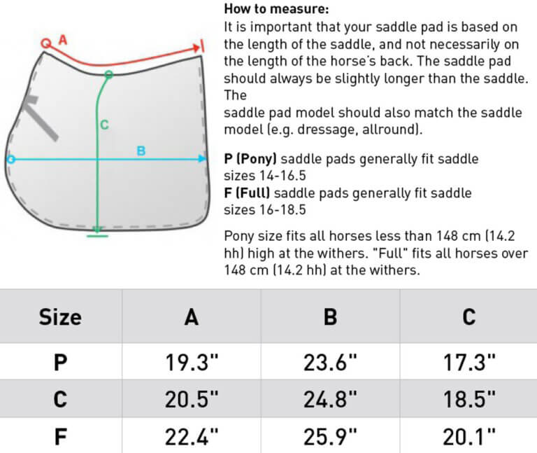 5-best-horse-saddle-pads-2021-review-horsezz