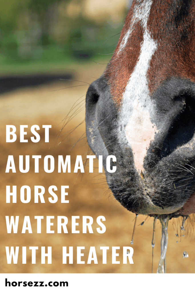 Automatic Horse Waterer with Heater Social