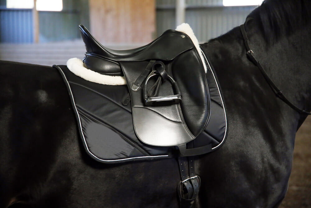 Black leather saddle on a back of a horse