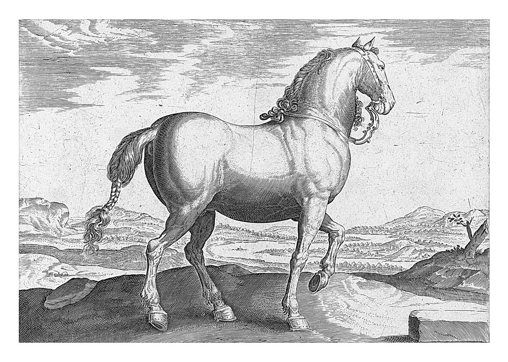 Flemish Horse