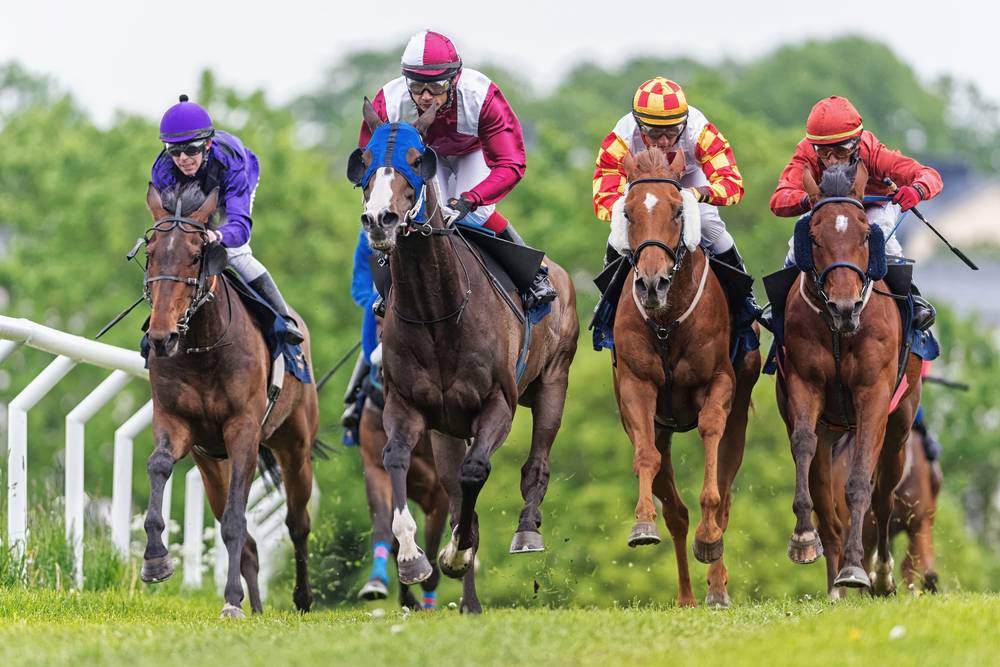 Group of jockeys and horses