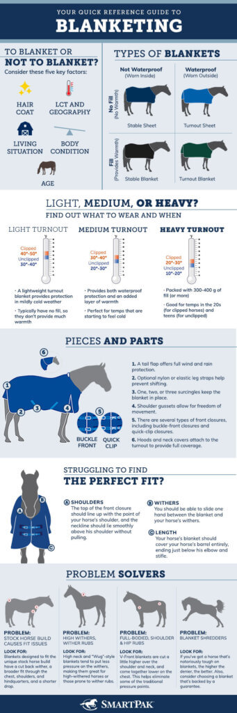 Horse Blanket Infographics