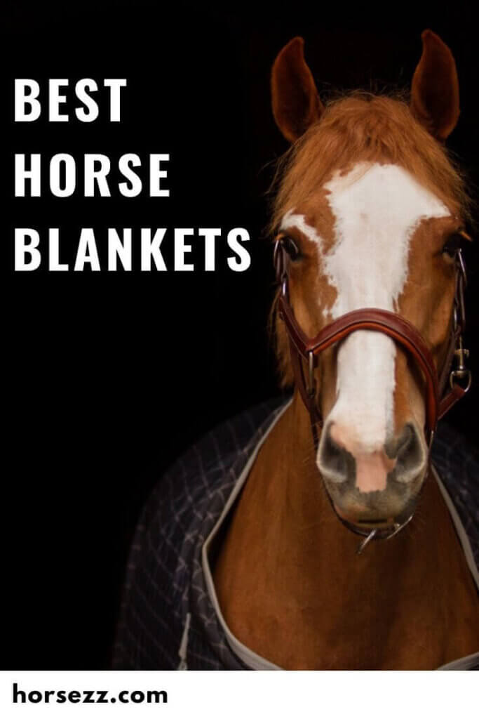 Horse Blankets Social Image