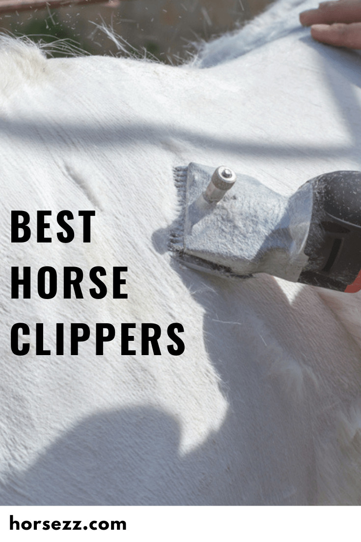 5 Best Horse Clipper Reviews in 2022 • Horsezz