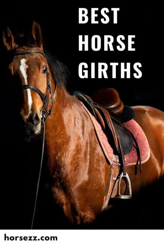 Horse Girths Social Image