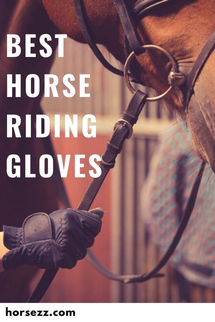 15 Best Horse Riding Gloves in 2024 for Women, Men & Kids