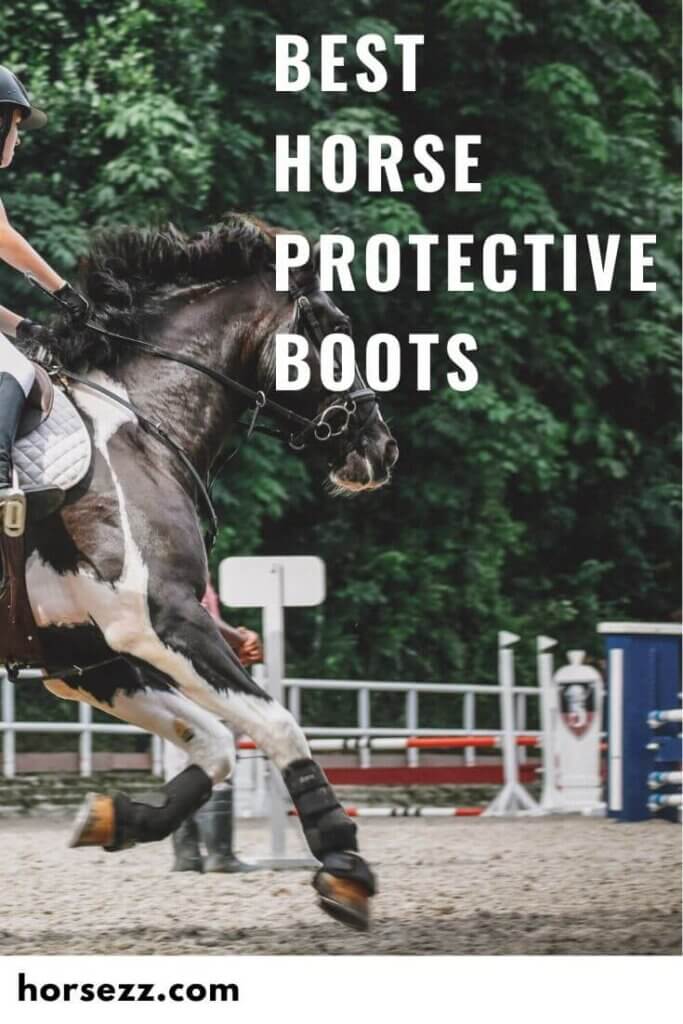 Horse Protective Boots Social Image