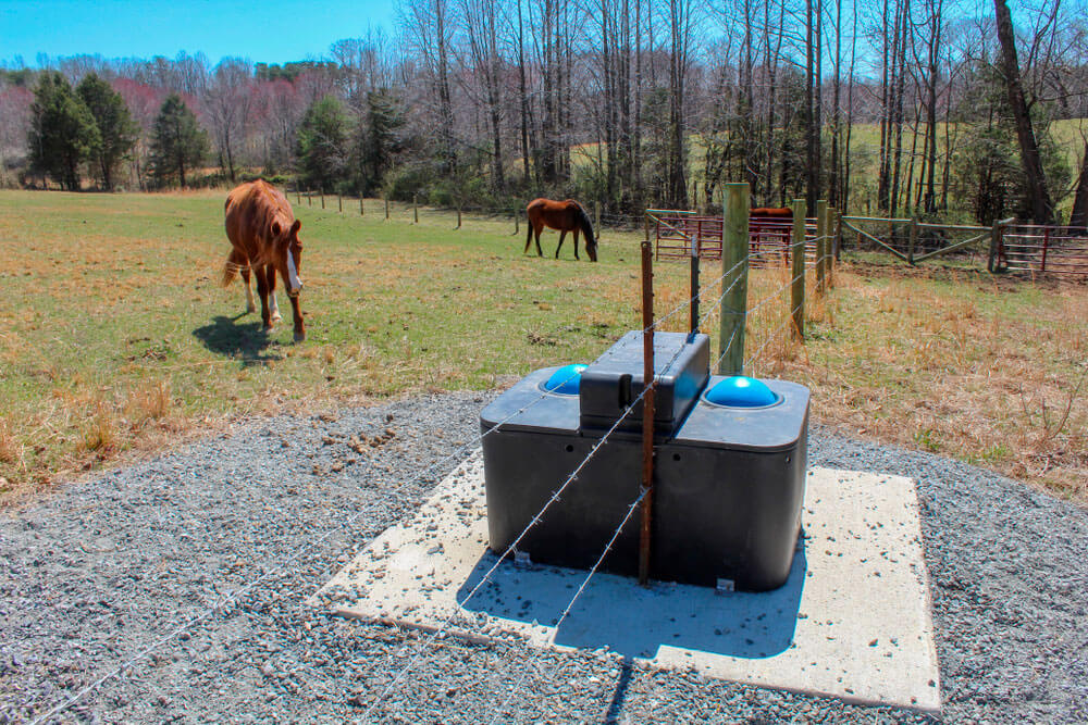 Horse in pasture walking toward waterer