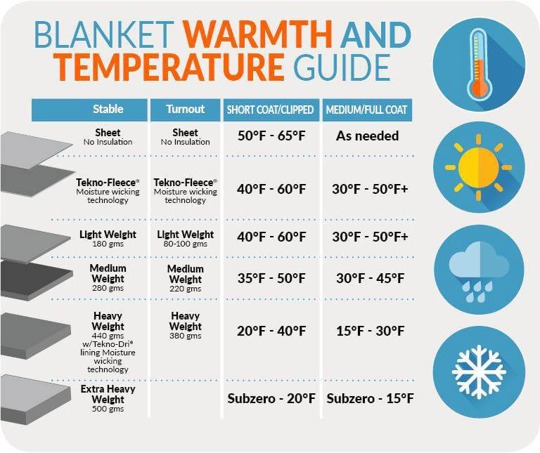 How much blanket warmth your horse needs