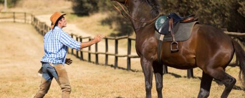How to Desensitize a Horse – The Ultimate Guide