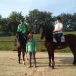 24 Professional Tips for Beginner Horse Riders care tips, expert advice, horse care, horse riding, riding for beginners