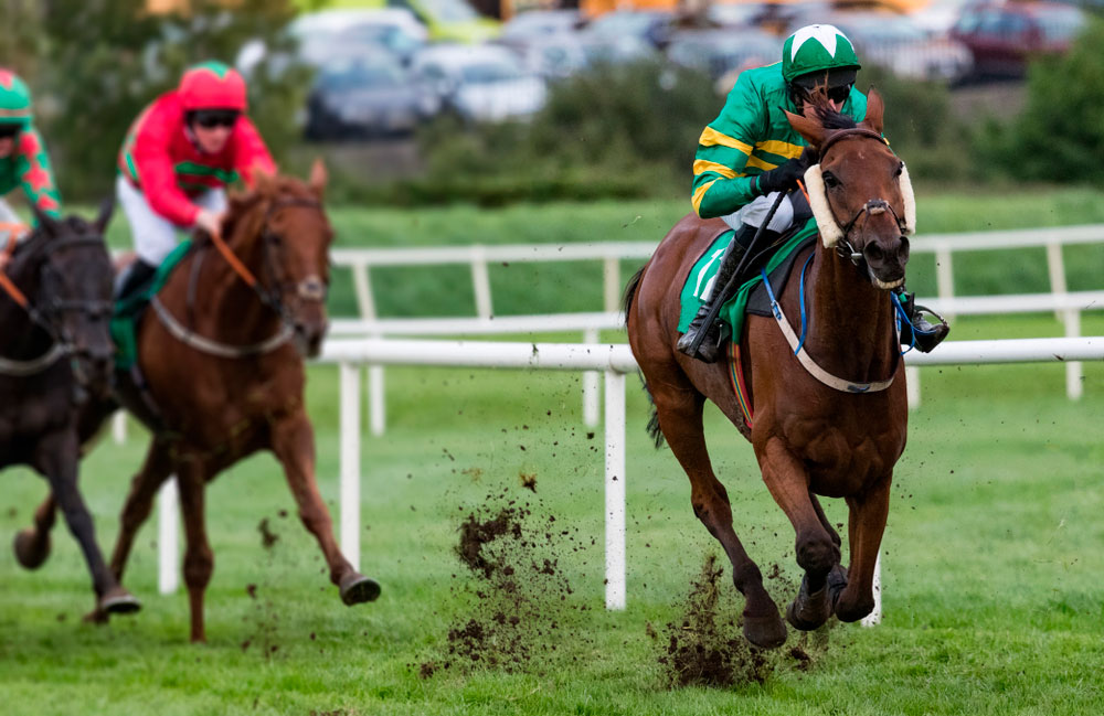 Jockey and race horse taking the lead