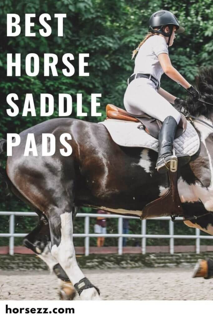 Saddle Pads Social Image