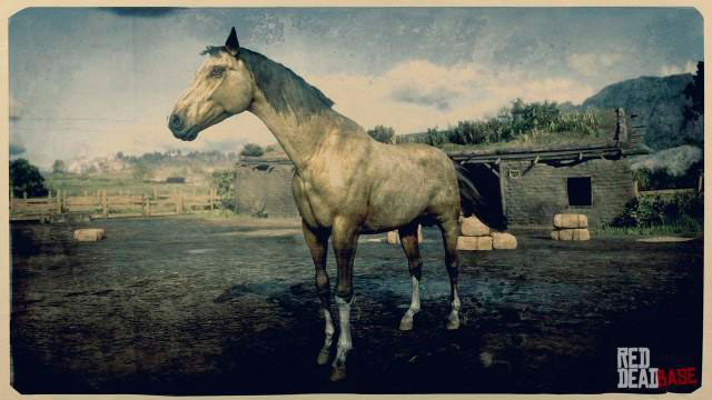 Turkoman Horse rdr2