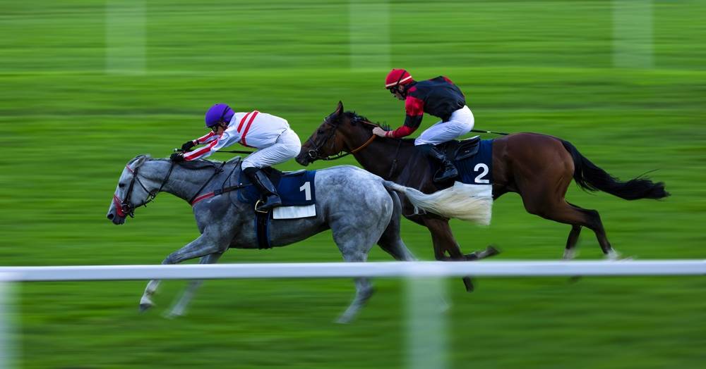 Two jockeys during horse races