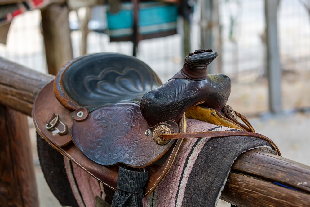 Western dressage saddle on a rack