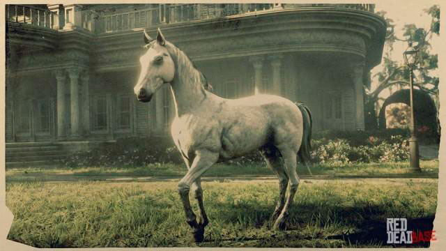 White Arabian Horse rdr2