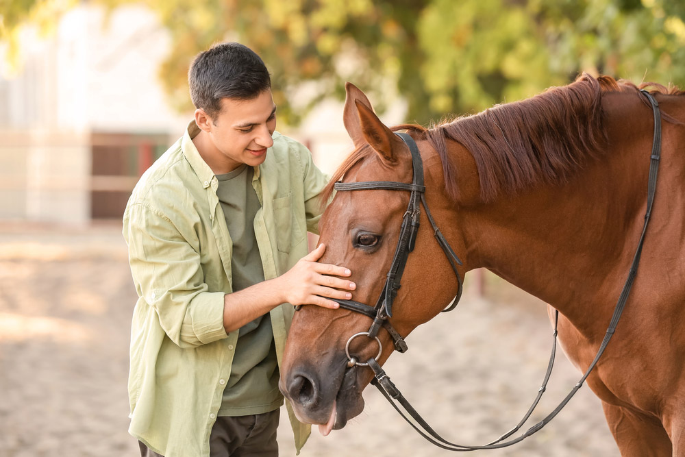 Young man with cute horse outdoors