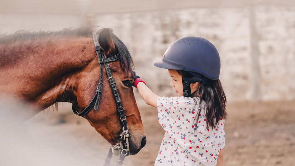 asian girl petting bay horse
