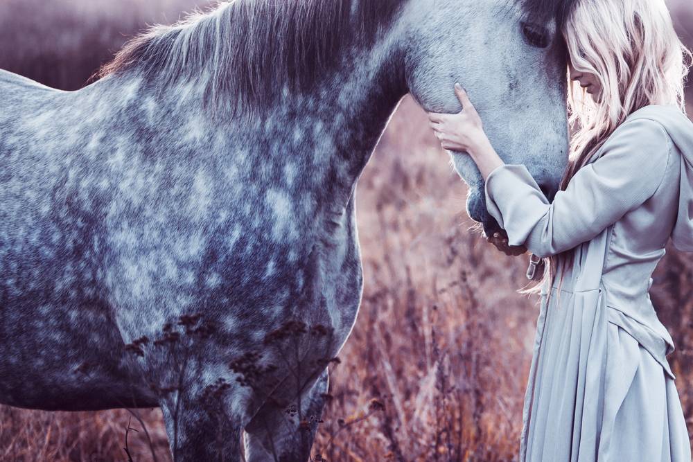 blondie with horse in the field