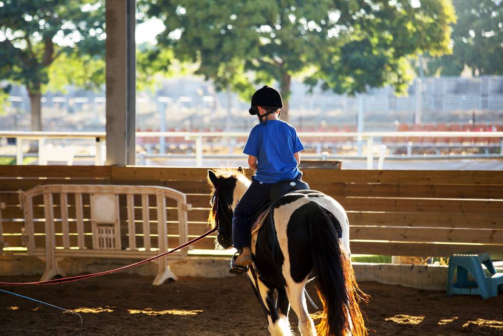 boy taking up riding horse