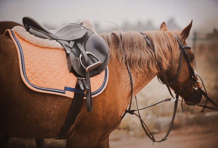 What Is a Horse Neck Strap and How to Use It? • Horsezz