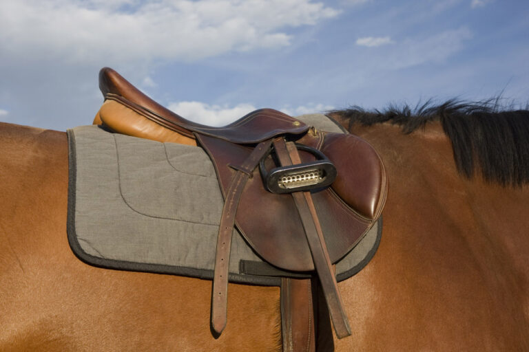 Buying Used Horse Saddle. Is It Worth to Save a Buck?