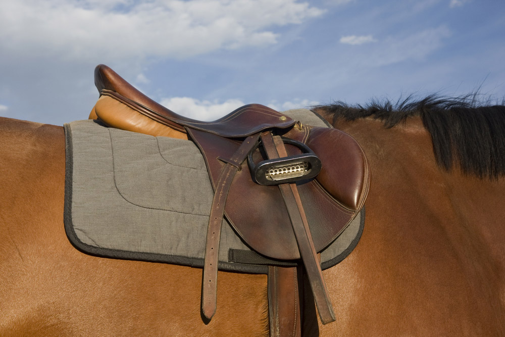 brown leather saddle on horse