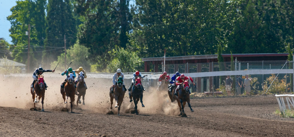 colorful quarter horse race