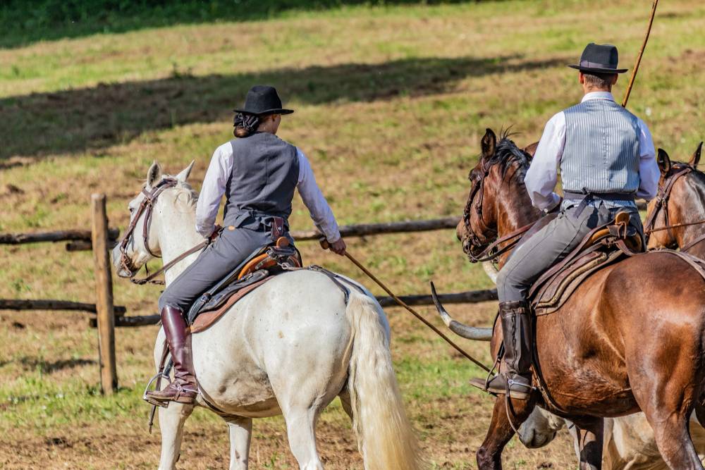 couple partaking in horse show