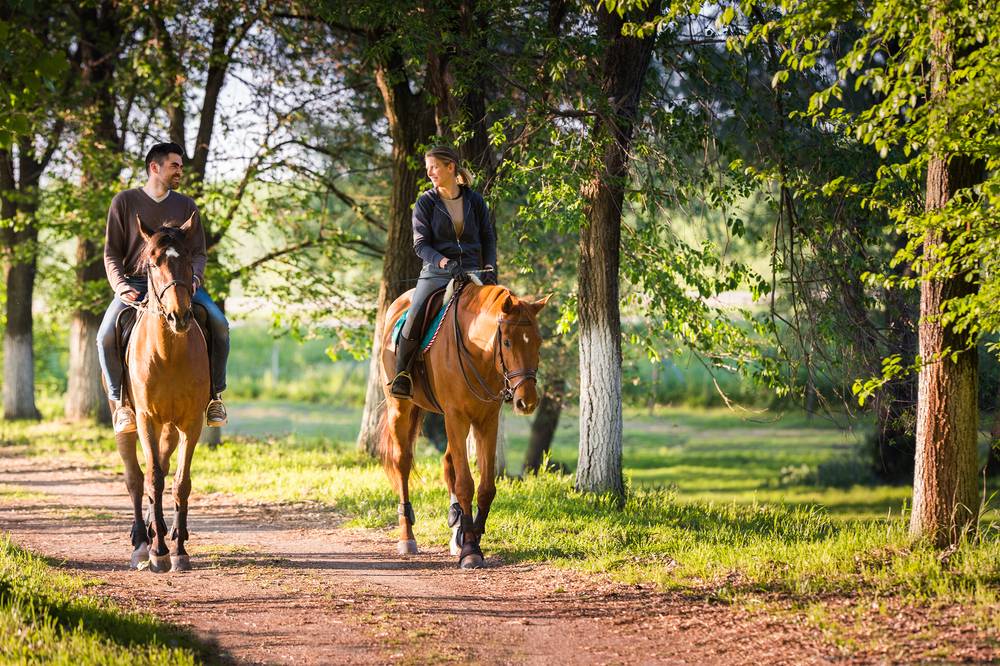 couple riding two brown horses