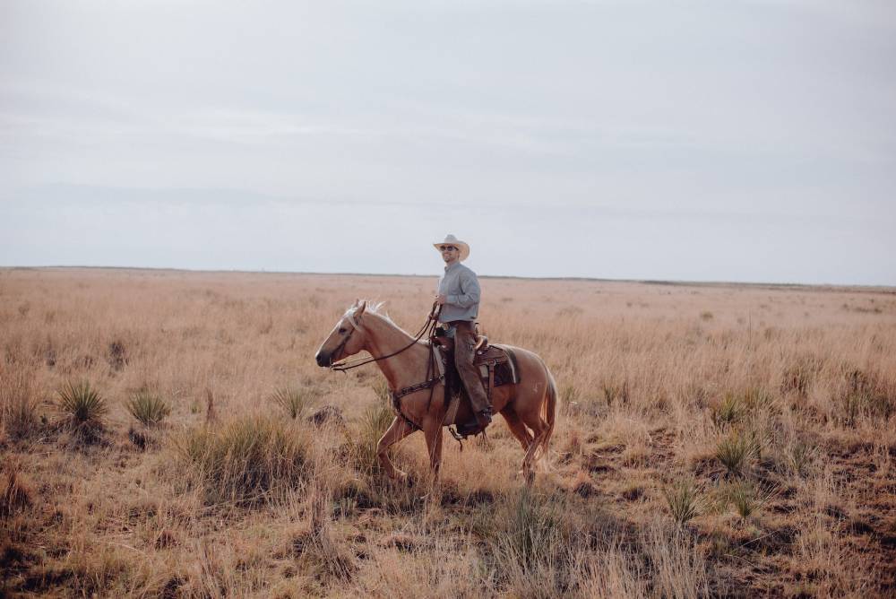 cowboy and horse in field