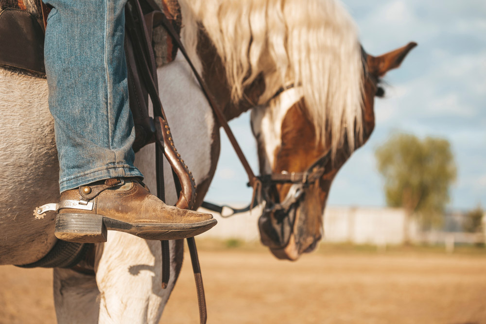 cowboy boot close view