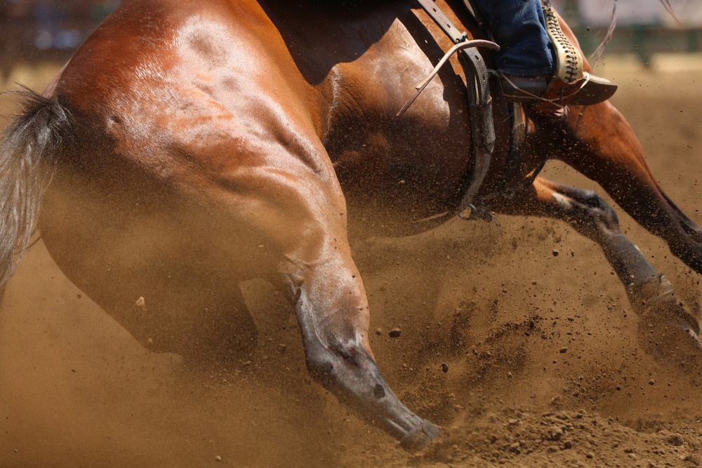 cowboy on horse close up