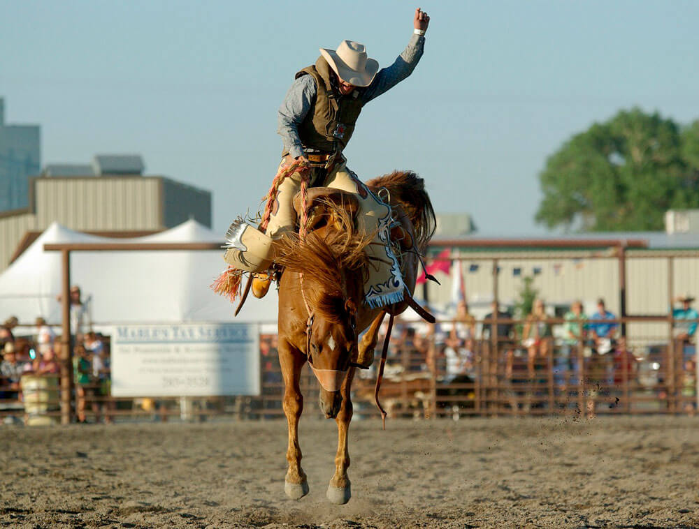 cowboy rodeo show