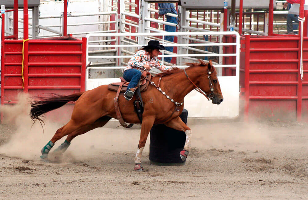 cowgirl competing in a barrel race