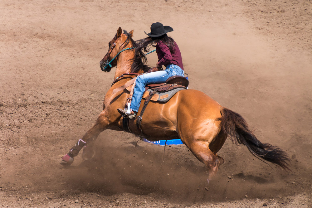 cowgirl performing barrel racing