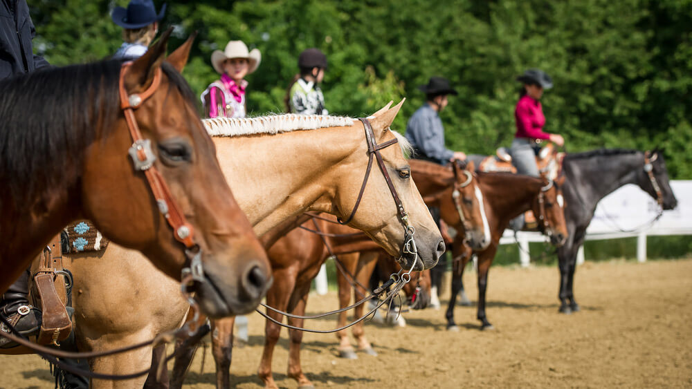 cowgirls are participating in a horse show