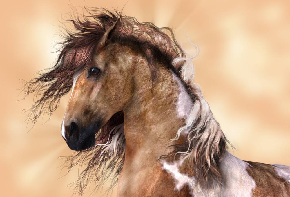 dream horse with brown and white paint