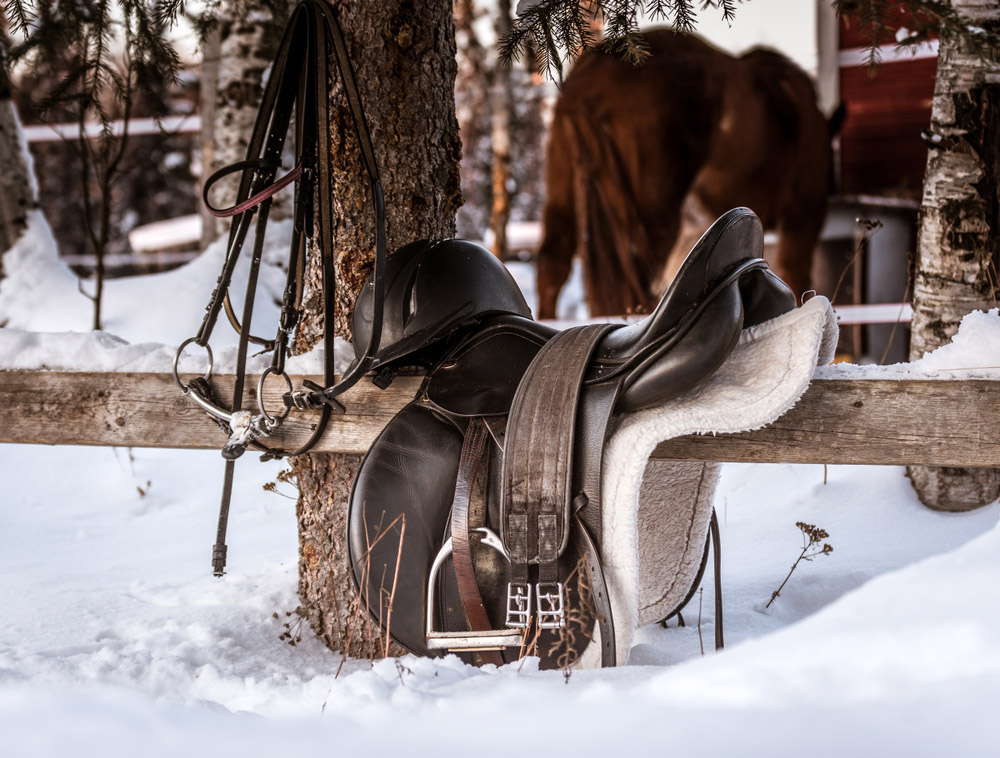 english saddle on wooden fence