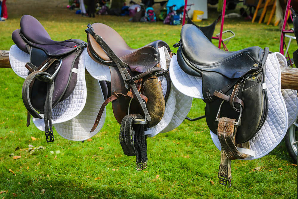 english saddles on fence