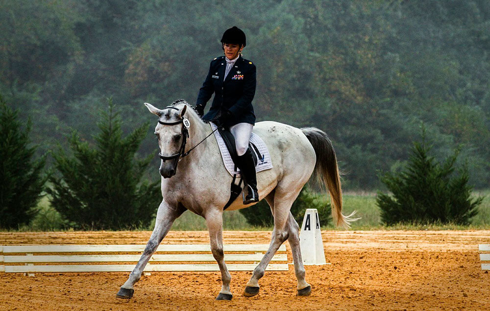 equestrian sport dressage