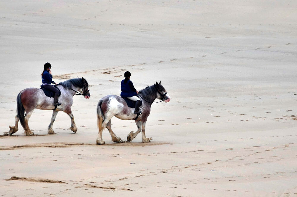 equestrian sport trail riding