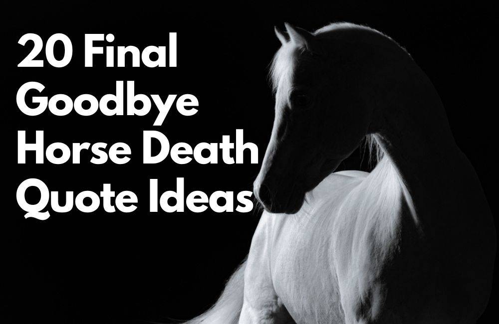 final goodbye horse death quote ideas