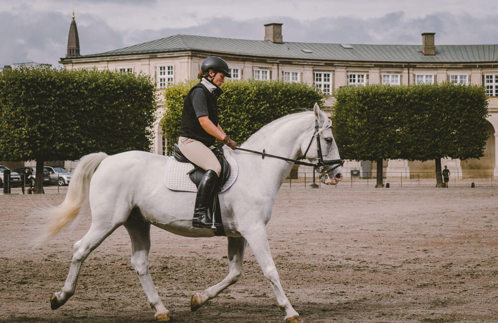 fully equipted horsewoman