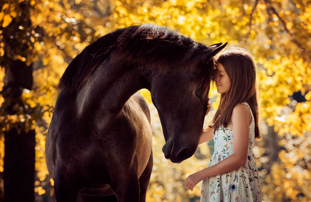 girl bonding with horse
