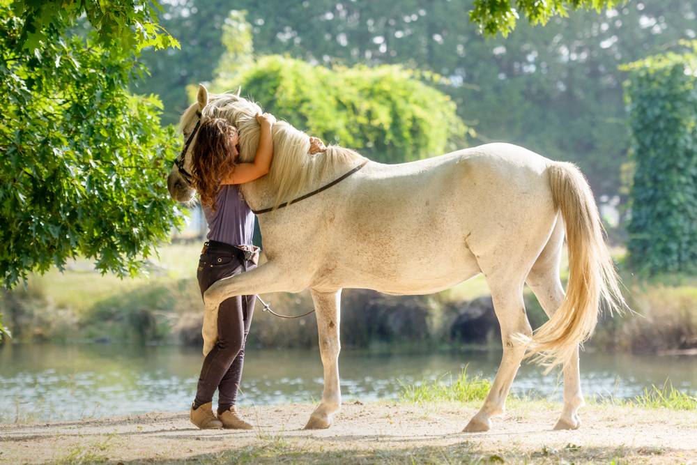 girl hugging with white horse